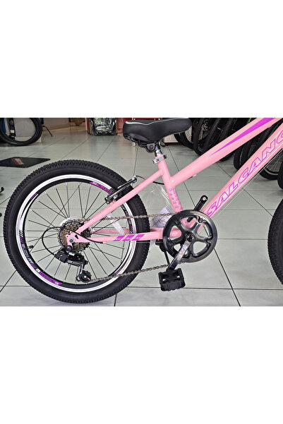 Salcano Lily 20 Jant Vitesli Kız Çocuk Bisikleti (120-145 cm boy)