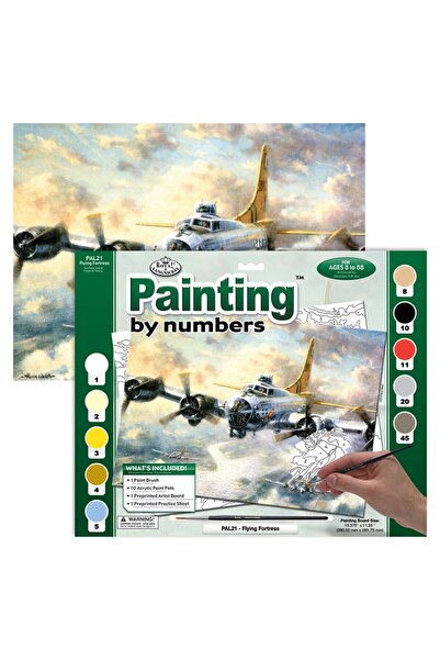 Royal Pictura pe numere Avion lupta 32x40 cm