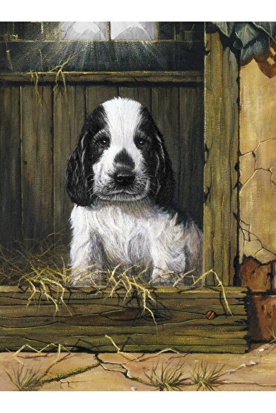 Royal Painting by numbers Puppy 24x33 cm