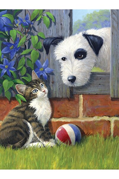 Royal Pictura pe numere Prieteni la joaca 24x33 cm