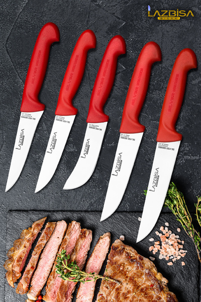 LAZBİSA Silver Serisi Mutfak Bıçak Seti Yüzme Sıyırma Kasap Et Ekmek Sebze Meyve Bıçağı 5 Li Set HDS-80