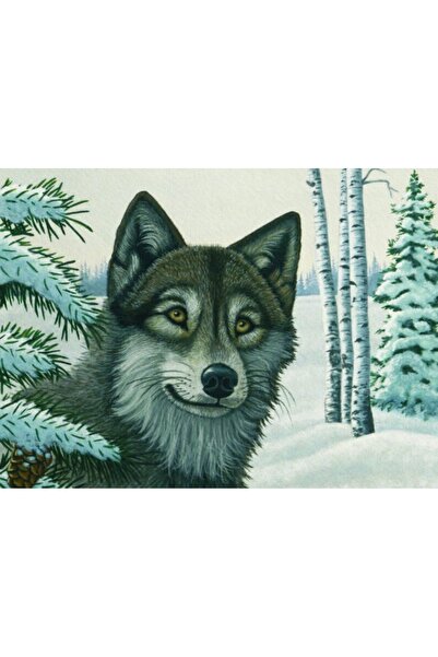 Royal Pictura pe numere Lup alb 32x40 cm