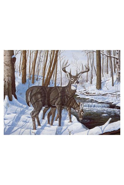 Royal Pictura pe numere Binecuvantarea iernii 32x40 cm