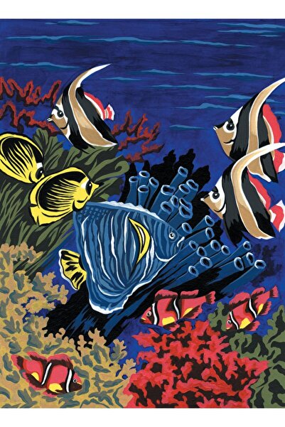 Royal Pictura pe numere Viata marina 24x33 cm