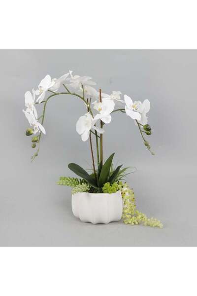 Danube Home Daisy Ceramic & Fabric Flower in Pot – Realistic Artificial Floral Décor for Home & Office