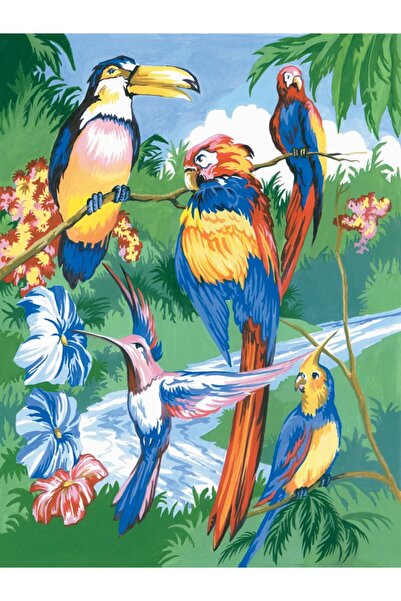 Royal Painting by numbers Tropical birds 24x33 cm