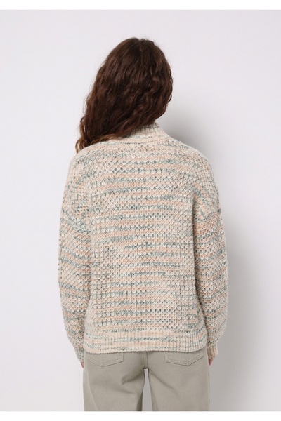 Colin's Regular Fit Round Neck Solid Women's Multicolor Sweater