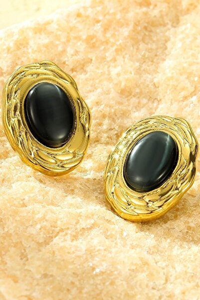 TAKIŞTIR Gold Color Stone Detailed Steel Earrings (Pair)