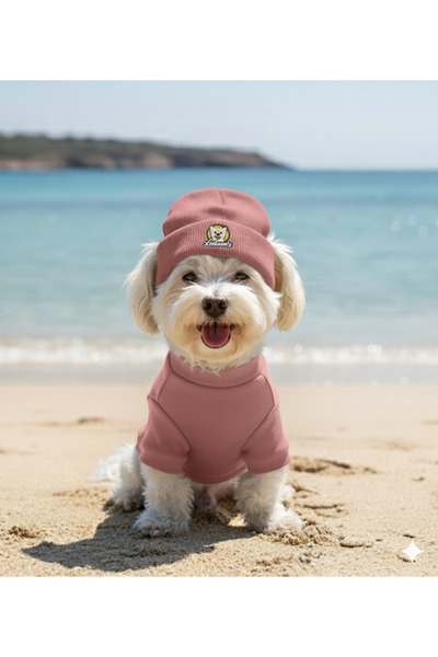 Lokums طقم ملابس وقبعة للكلاب مصنوع يدويًا من قماش ريبانا (للفئات الصغيرة وال...