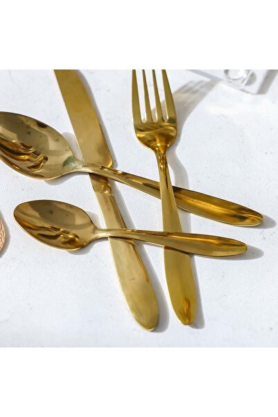 Danube Home Chef's Delight Lotus 24-Pc Cutlery Set – Stainless Steel with Acrylic Stand, Serves 6