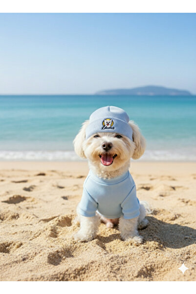 Lokums طقم ملابس وقبعة للكلاب مصنوع يدويًا من قماش ريبانا (للفئات الصغيرة وال...