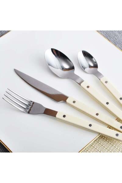 Danube Home طقم أدوات مائدة زهرة من الفولاذ المقاوم للصدأ، ٢٤ قطعة - طقم أدوات مائدة فاخر للطعام والحفلات والمطاعم