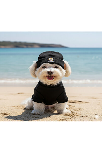 Lokums طقم ملابس وقبعة للكلاب مصنوع يدويًا من قماش ريبانا (للفئات الصغيرة وال...