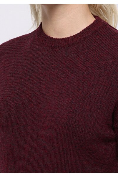 Colin's Regular Fit Yuvarlak Yaka Düz Kadın Mor Kazak