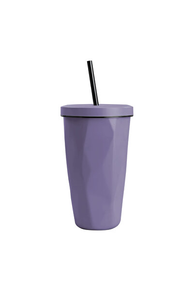 Vertik 480ml Stainless Steel Cold Drink Mug with Straw