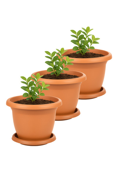 TEMMUZ HOME 3 Adet No4 Villa Saksı Seti 2,7 Litre 20cm Drenajlı Tabaklı Mat P...