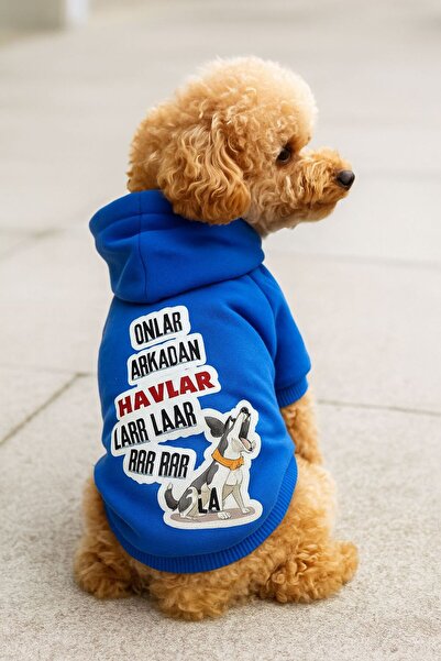 Hav hav köpek sweati hoodie kedi köpek kıyafeti