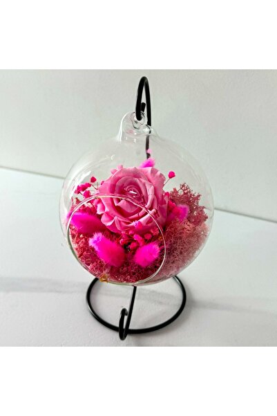 velve Trandafir Criogenat Glamouroses,broom,lagurus,licheni stabilizati criog...