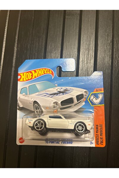HOT WHEELS 73 PONTIAC FİREBİRD JBB41