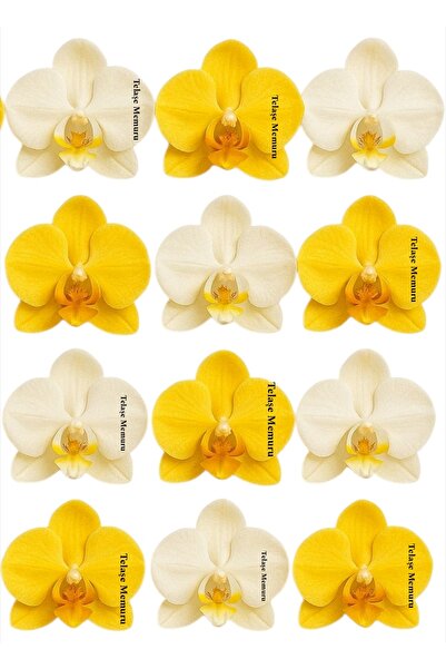 telaşe memuru Yenilebilir Çiçek Pasta Süsü - Orkide Yenilebilir Kağıt Pasta Süsü - Pasta Süsü - Model 11