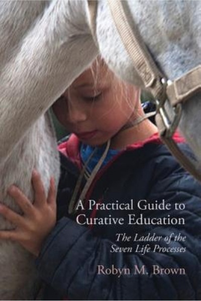 Routledge Chapman Hall A Practical Guide to Curative Education: The Ladder of...
