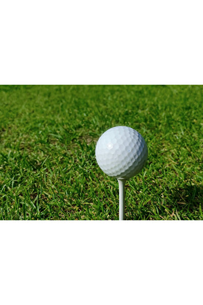 SORA DESIGN 3’lü Dayanıklı Golf Çivisi (7,5 cm)