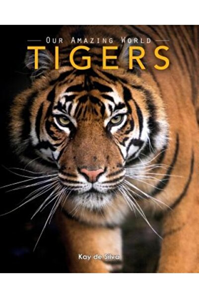 Irish Academic Press Tigers: Amazing Pictures & Fun Facts on Animals in Nature