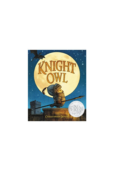 Little Brown Books For Young R Knight Owl