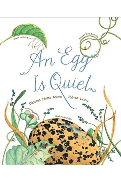 Houghton Mifflin An Egg Is Quiet