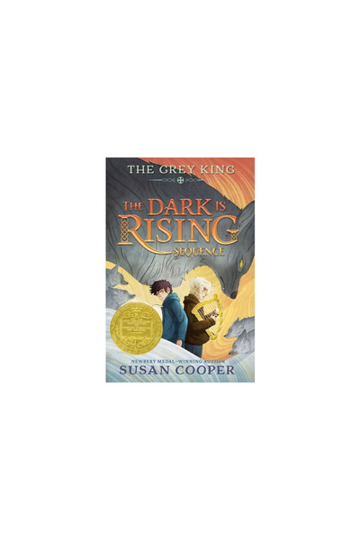 Margaret K Mcelderry Books The Grey King