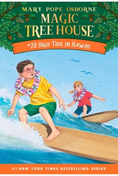 Random House Books for Young Readers High Tide in Hawaii