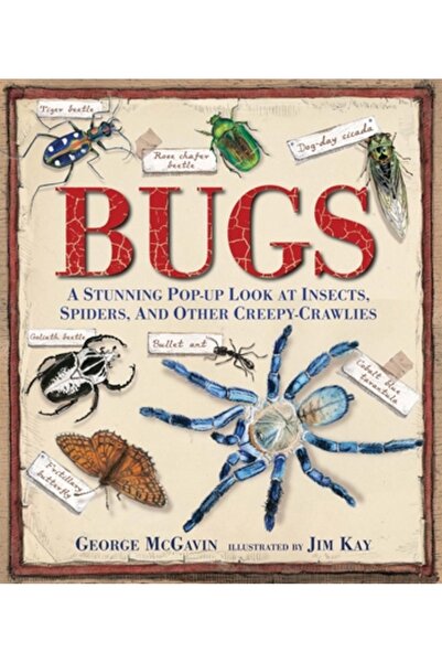 Candlewick Books Bugs: A Stunning Pop-Up Look at Insects, Spiders, and Other ...