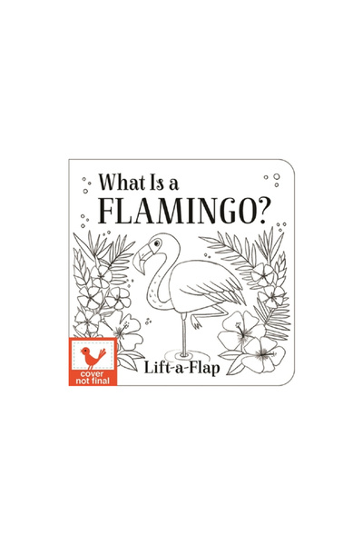 Cottage Door Pr What Is a Flamingo?