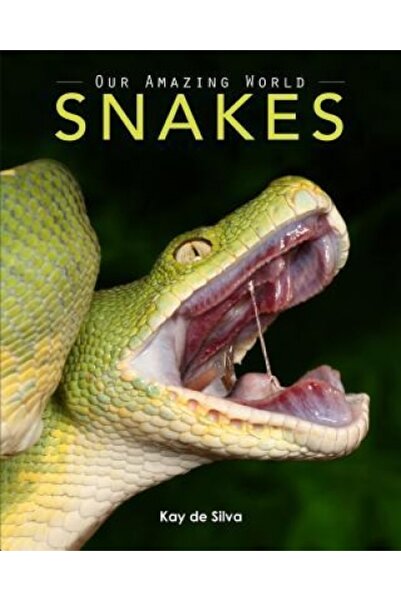 Childrens Pr Snakes: Amazing Pictures & Fun Facts on Animals in Nature