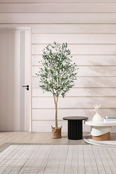 ZVEZVIA شجرة زيتون اصطناعية بطول 180 سم مع ثمار طبيعية لديكور رمضان - مثالية للمنزل الداخلي والخارجي