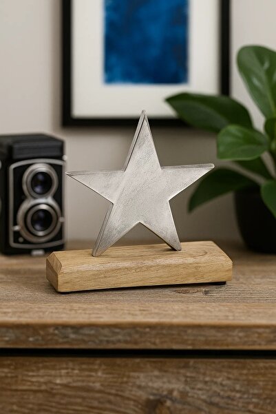 Boltze Decoratiune stea din metal, lemn de mango, argintiu, 18x17x5cm