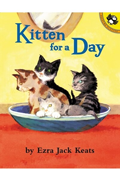 Puffin Books Kitten for a Day