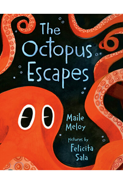 Putnam Young Readers The Octopus Escapes