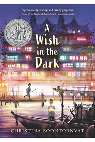 Candlewick Books A Wish in the Dark