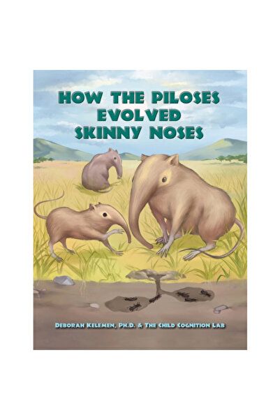 Tumblehome Learning Inc How the Piloses Evolved Skinny Noses