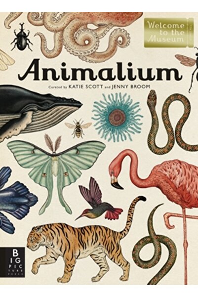 Big Picture Books Animalium