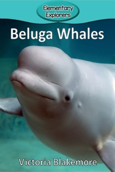 Victoria Blakemore Beluga Whales