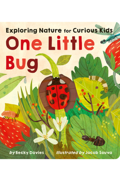 tiger tales One Little Bug: Exploring Nature for Curious Kids