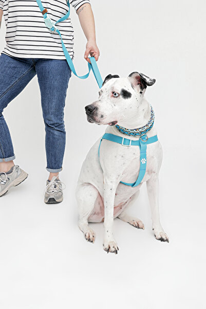 IG Design No Pull - Çekiştirme Önleyici Göğüs Tasması