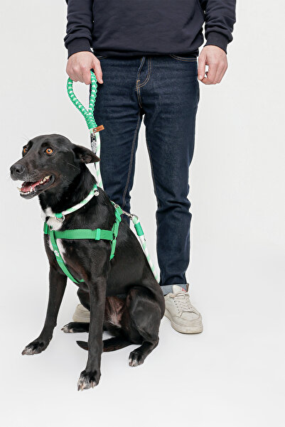 IG Design No Pull - Çekiştirme Önleyici Göğüs Tasması