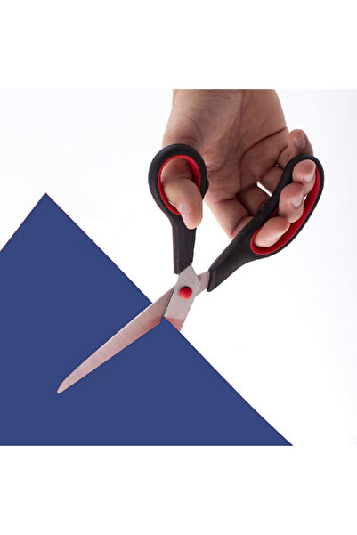 D.Rect Scissors 250 mm SG-250