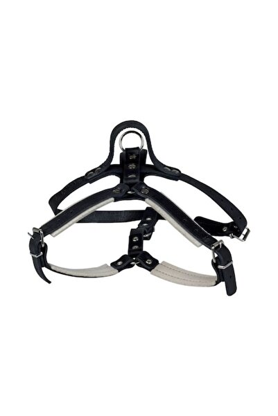 Gappay Ham Din Piele Cu Maner Femela