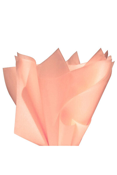 Papette Set of 50 pieces Tissue paper 17g PEACH - 50 x 75cm