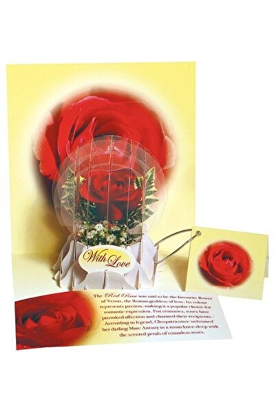 PopShots Felicitare 3D tip glob Trandafir rosu