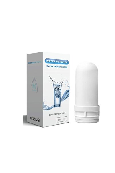 IPF Set of 10 Ceramic Replacement Filters for Water Purifier